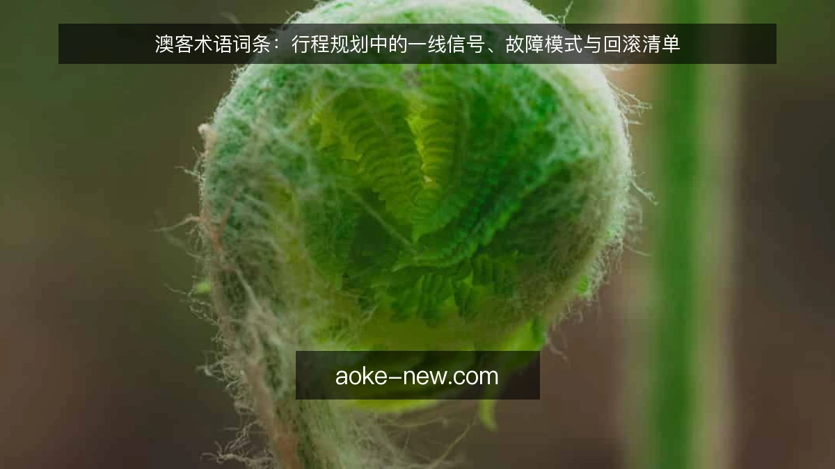 澳客术语词条：行程规划中的一线信号、故障模式与回滚清单