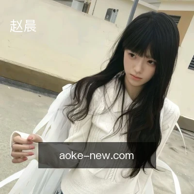 赵晨